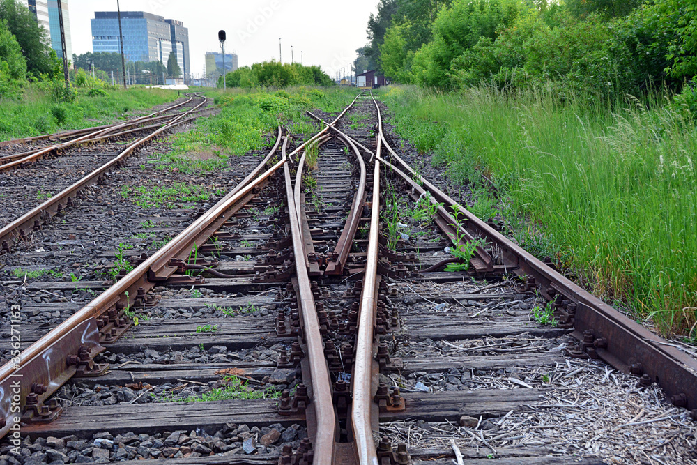 Fototapeta premium Rusty, dilapidated, abandoned and overgrown railway tracks with set of points (railroad switch), 