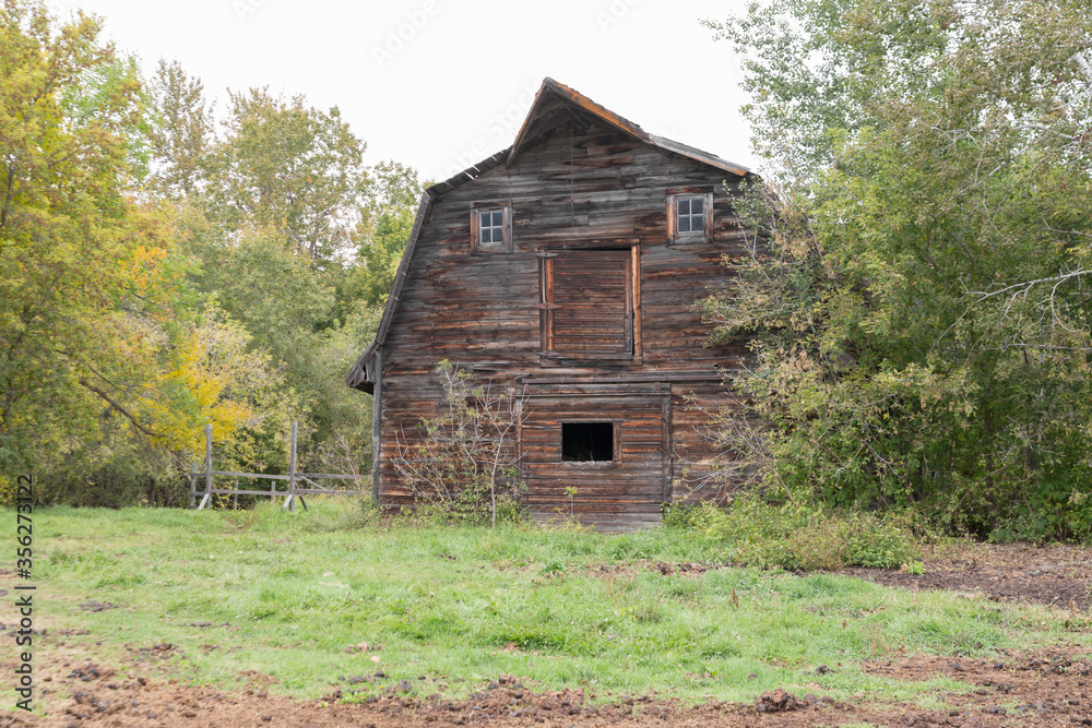 old rustic brown barn surrounded by green trees old rustic brown barn surrounded by green trees