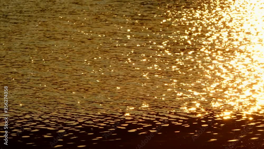 MS Rippled water surface with gold reflections of sunlight / Saarburg, Saar Valley, Rhineland-Palatinate, Germany