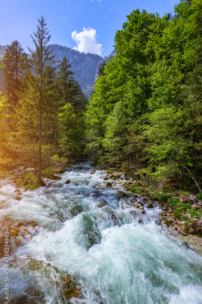 Beautiful colorful summer landscape with a stream and forest. The river in summer forest and the sun shining through the foliage. Summer nature landscape. Bohinj, Slovenia Beautiful colorful summer landscape with a stream and forest. The river in summer forest and the sun shining through the foliage. Summer nature landscape. Bohinj, Slovenia