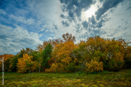 autumn forest in the afternoon on a background of blue sky with clouds