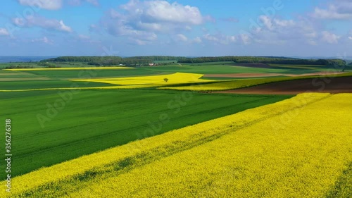 AERIAL WS Landscape with yellow and green fields / Saargau, Merzkirchen , Rhineland-Palatinate, Germany photo