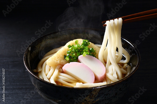 Quadro su tela きつねうどん