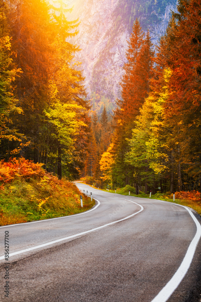 View of winding road. Asphalt roads in the Italian Alps in South Tyrol, during autumn season. Autumn scene with curved road and yellow larches from both sides in alp forest. Dolomite Alps. Italy