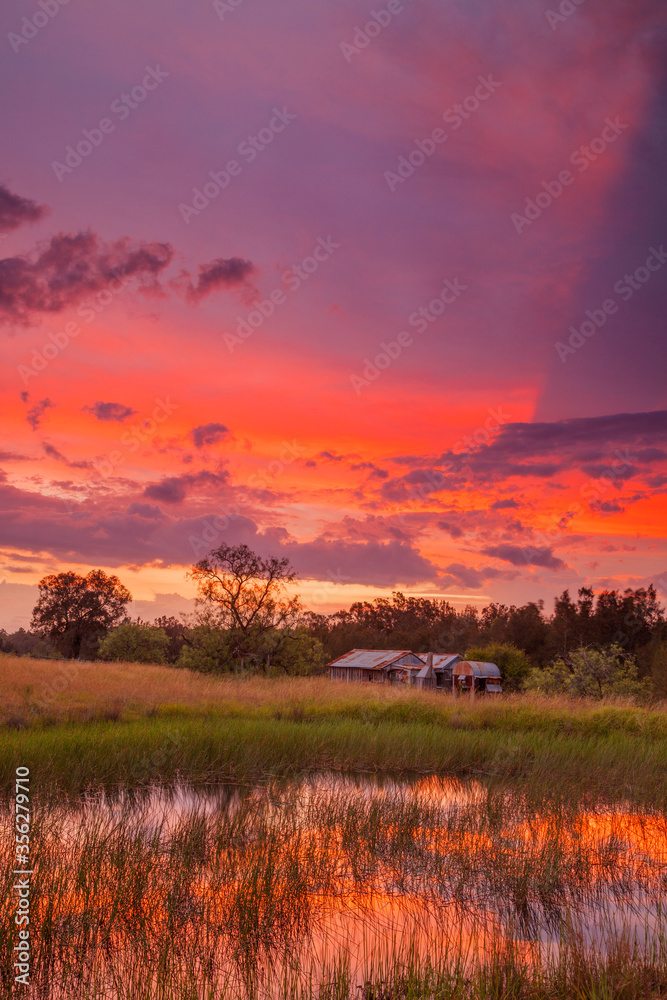 Beautiful ,autumn, sunset over old wooden slab hut. Westbrook near Singleton,in the Hunter Valley of N.S.W. Australia.