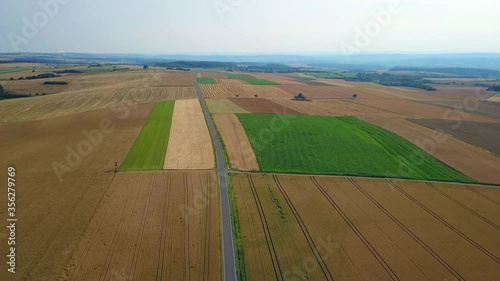 WS POV Rural landscape with cereal fields at Saargau near Fisch / Rhineland-Palatinate, Germany photo