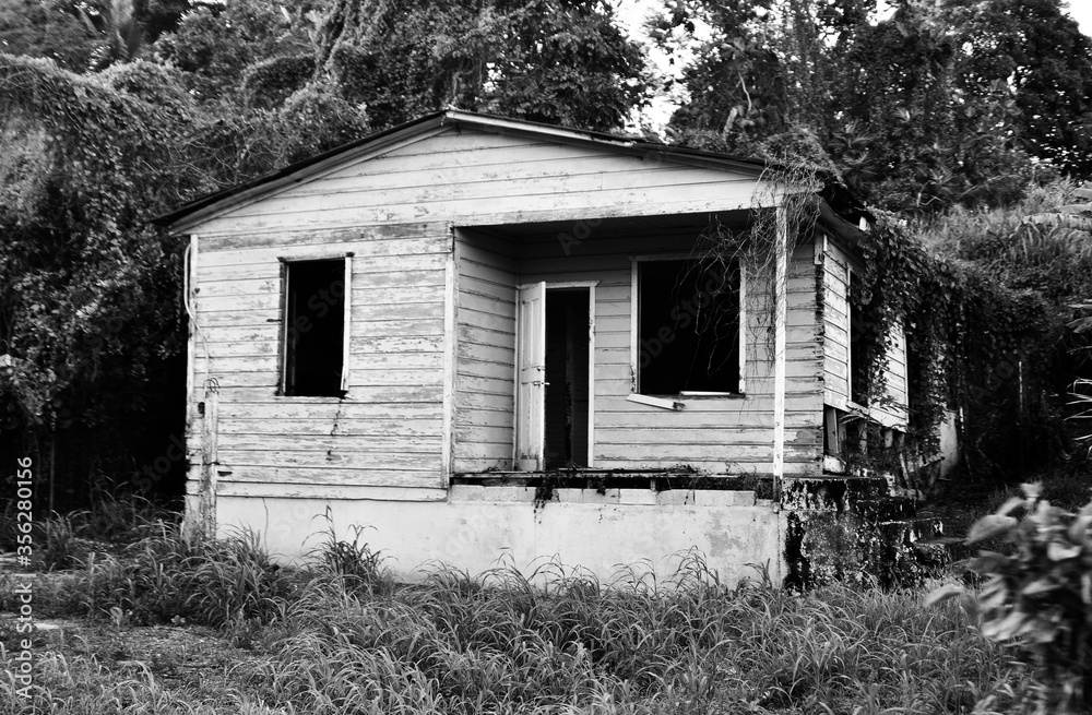 Obraz premium old abandoned house