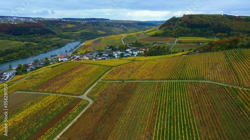 AERIAL WS Landscape with vineyards and river / Ahn, Moselle Valley, Canton of Grevenmacher, Luxembourg photo