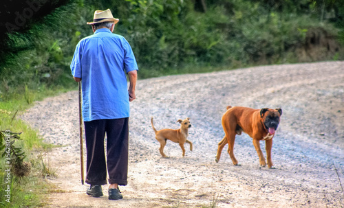 AVÔ SAI PASSEAR COM OS CÃES NO CAMPO