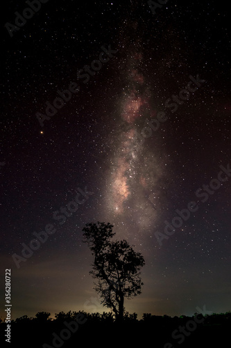 Milky Way and tree on the hill. Old tree growing out of the mountain against night starry sky with purple milky way. Night landscape. Space background with noise and grain.