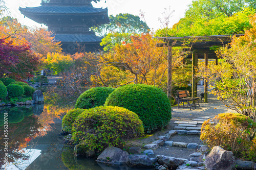 Photography Japan