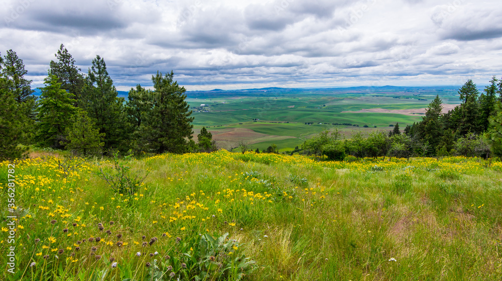 Kamiak Butte County Park near Pullman, Washington Kamiak Butte County Park near Pullman, Washington