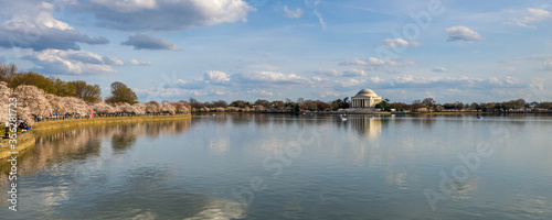 Tableau sur toile The Jefferson Memorial and cherry blossoms on the Tidal Basin in Washington, D