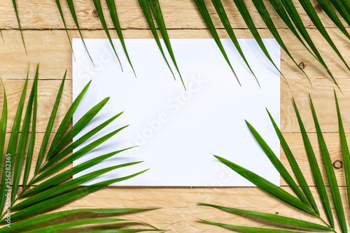 Top view empty white paper with palm leaf frame on wooden table background with copy space