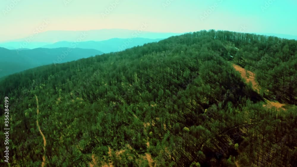 amazing view drone flies from down to top above forest with coniferous trees silhouette mountains on the background