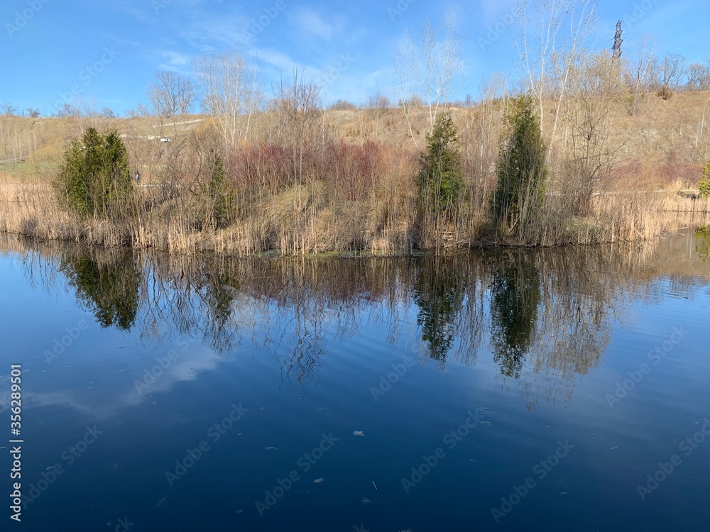 reflection of trees in the water reflection of trees in the water