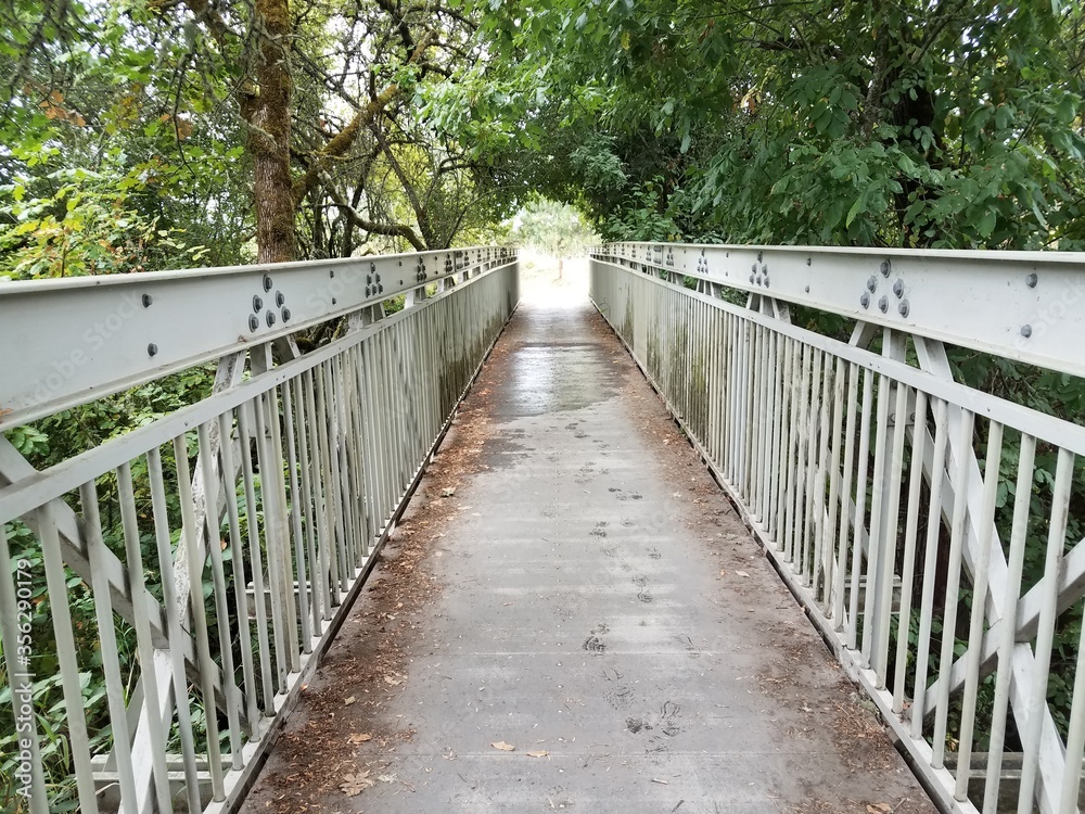 bridge walkway or path with railing and brown leaves
