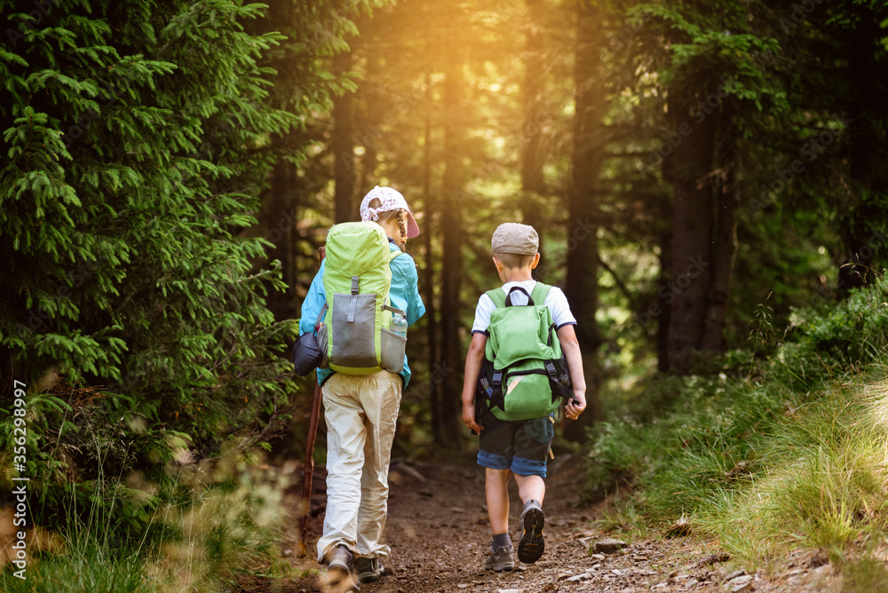 Group of children with backpacks trekking in green summer Carpathians