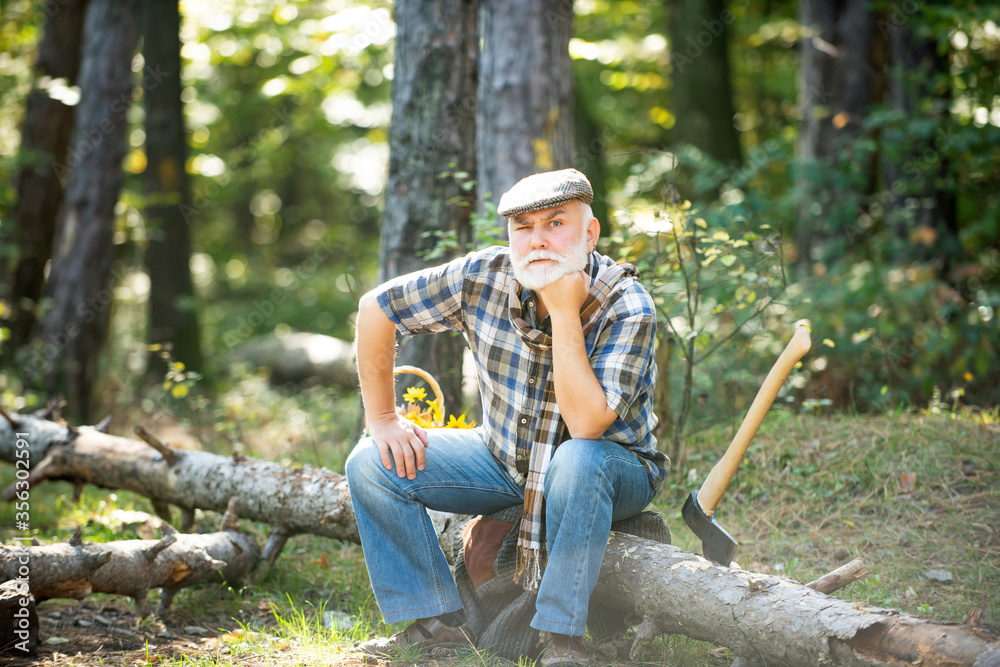 Old bearded man in forest. Fashion portrait man. Aged funny forester.  Woodman in forest. Old bearded