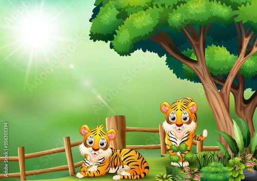 Cartoon two tigers in the jungle