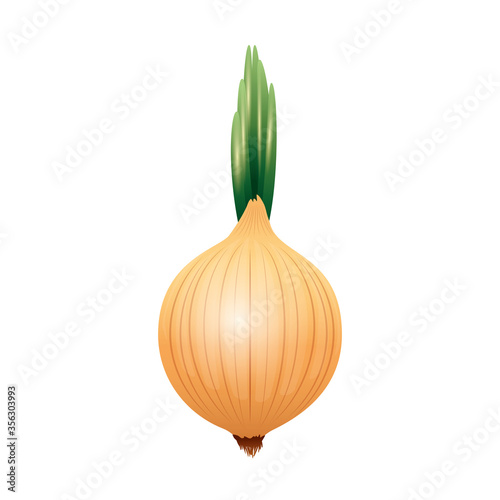 onion design, Vegetable organic food healthy fresh natural and market theme Vector illustration