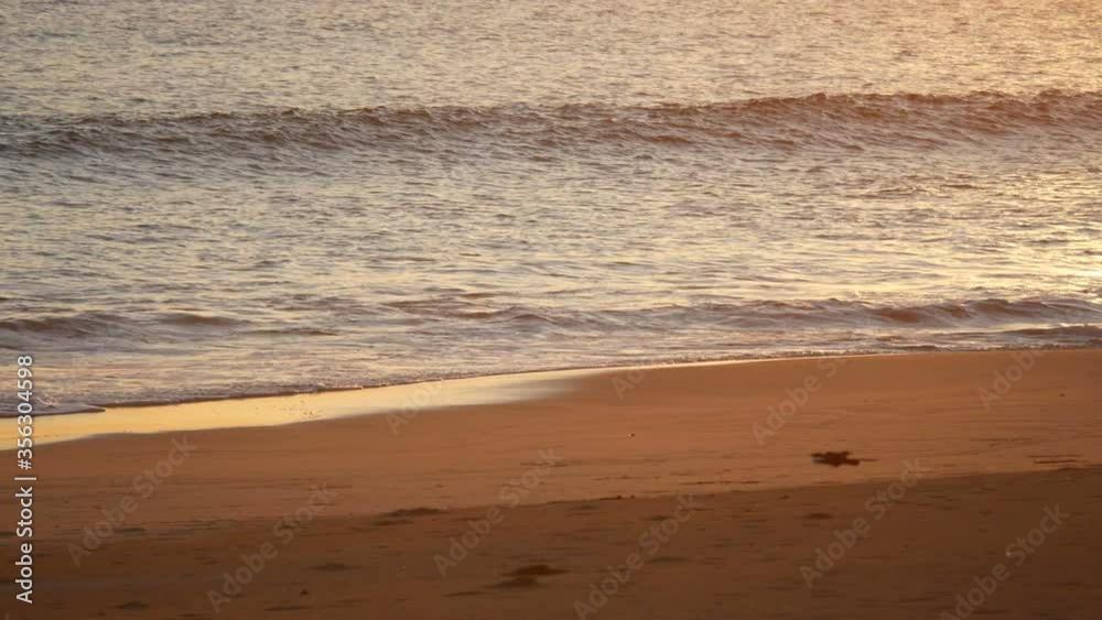 moving water wave hit sand shore coast, nobody on beach, moving water wave hit sand shore coast, nobody on beach,
