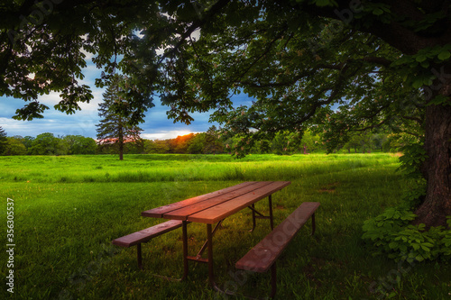 Picnic table in the woods at dusk