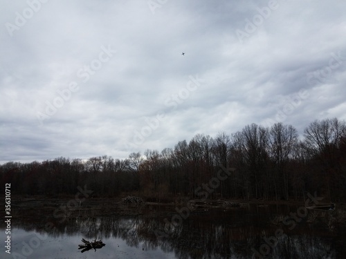 water and trees and clouds in wetland area with airplane in the sky