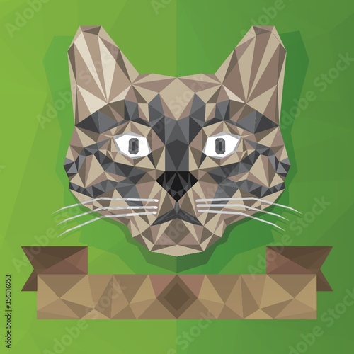 faceted cat face