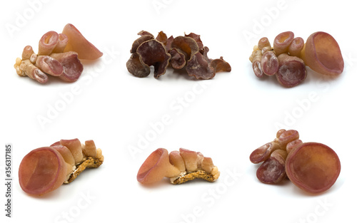 Group of black fungus set isolated on the white background. The collection of black fungus.