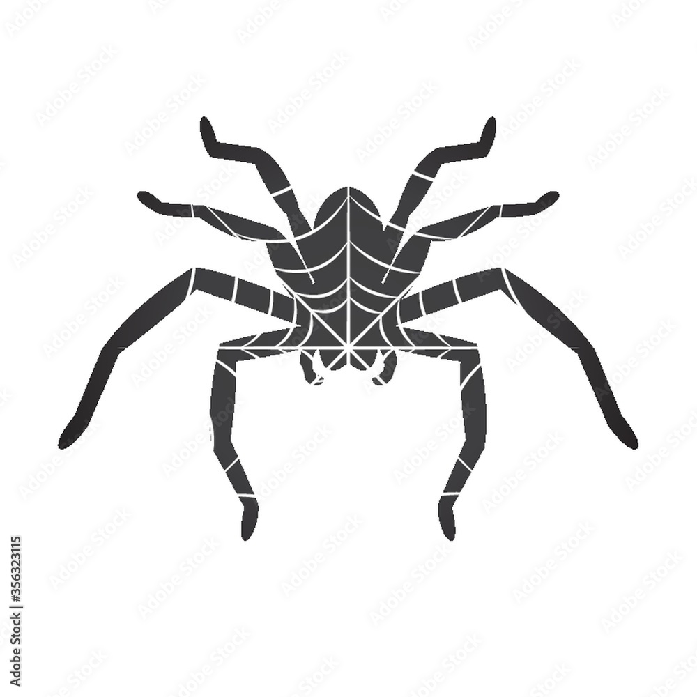 double exposure of spider and web double exposure of spider and web