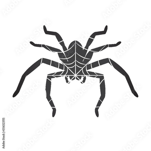 double exposure of spider and web
