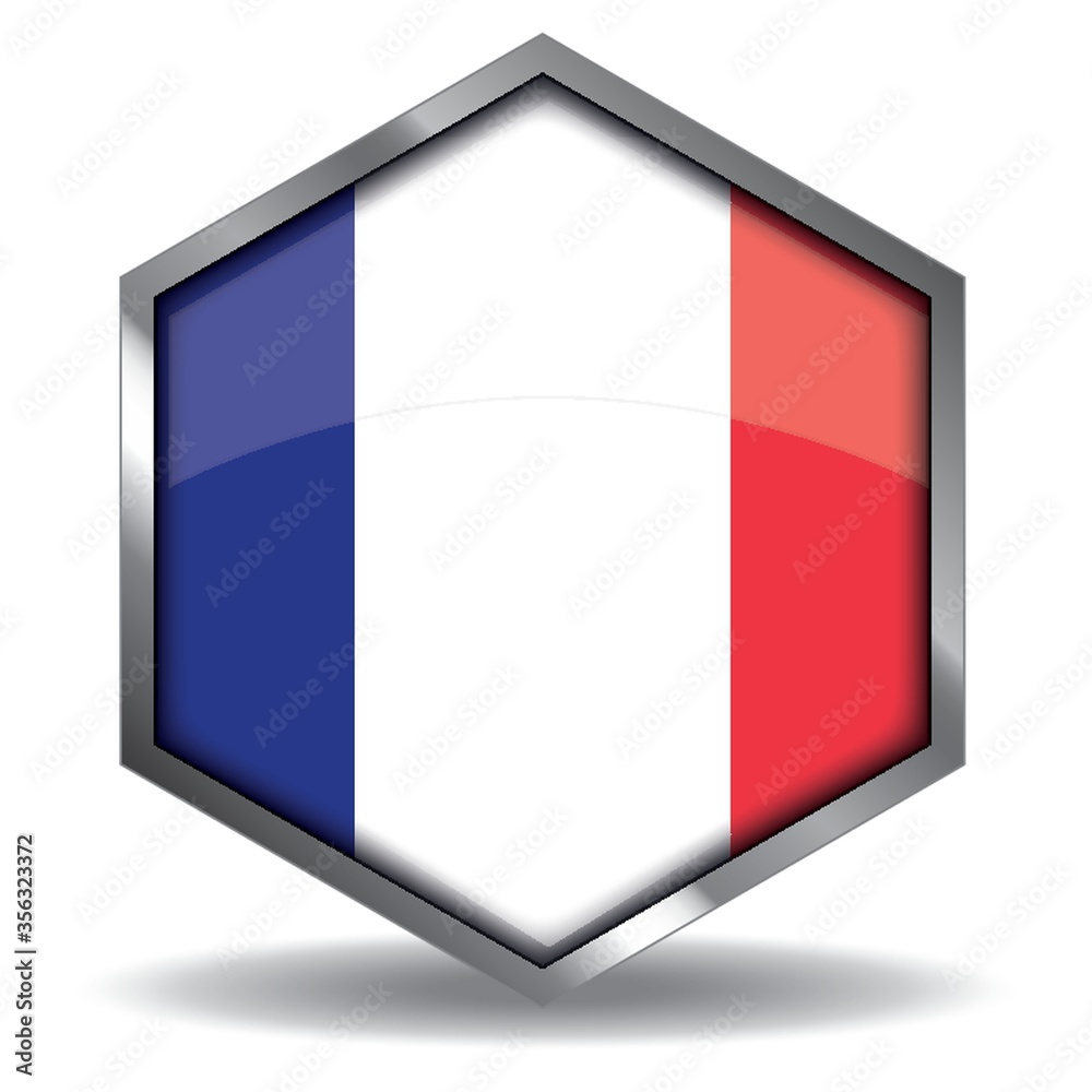 france flag button