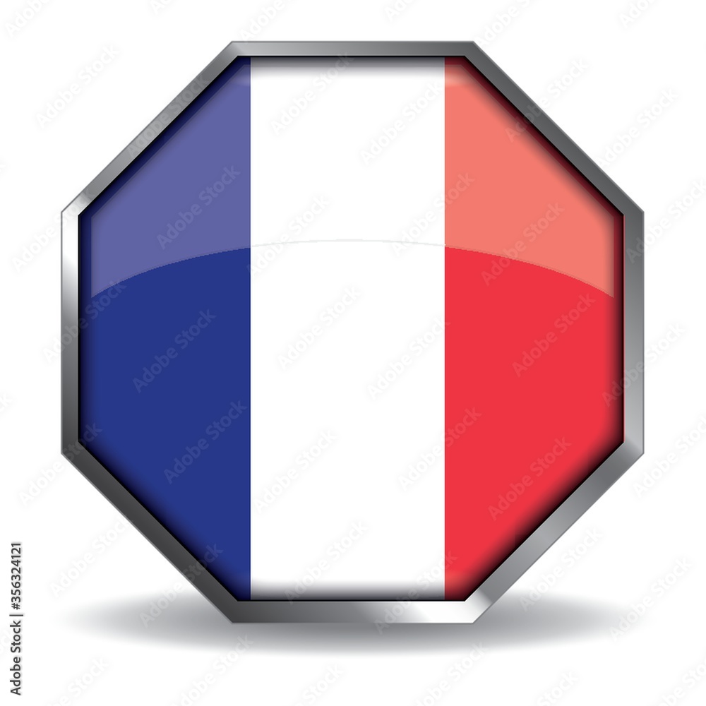 france flag button france flag button