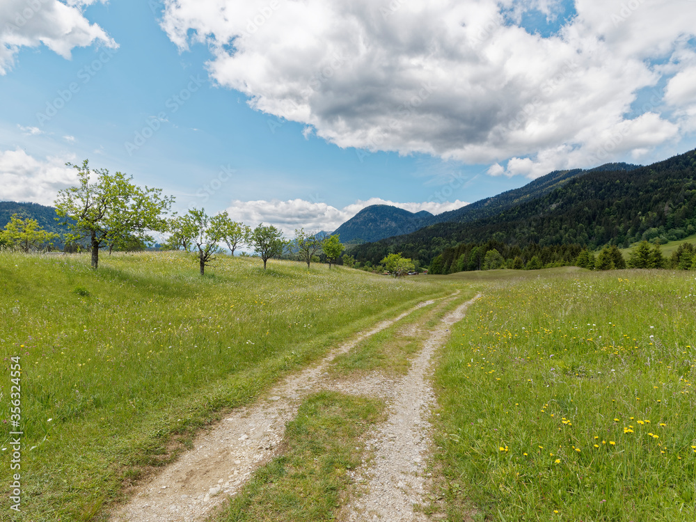 Feldweg auf grüner Wiese unter Bewölkung im Alpenvorland, Bayern Feldweg auf grüner Wiese unter Bewölkung im Alpenvorland, Bayern