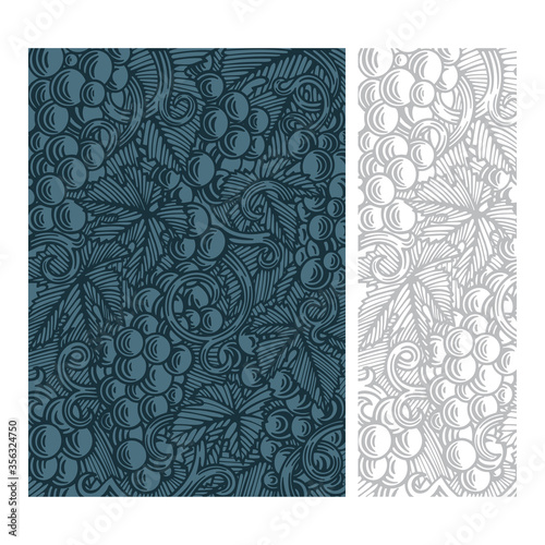 Grape and vine hand drawn vector illustration. Vineyard engraving style background. Part of set.