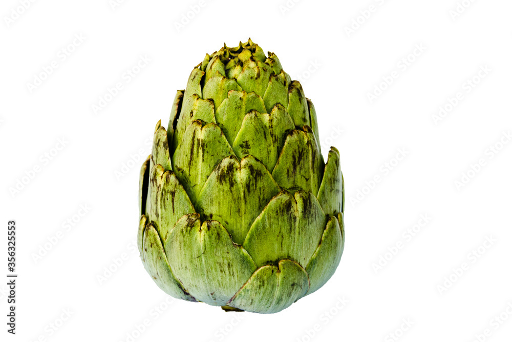 Fototapeta premium Fresh green artichoke on white background
