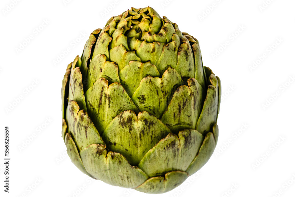 Obraz premium Fresh green artichoke on white background