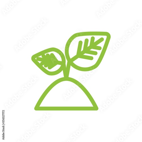 sapling
