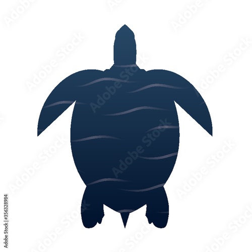 double exposure of turtle and water