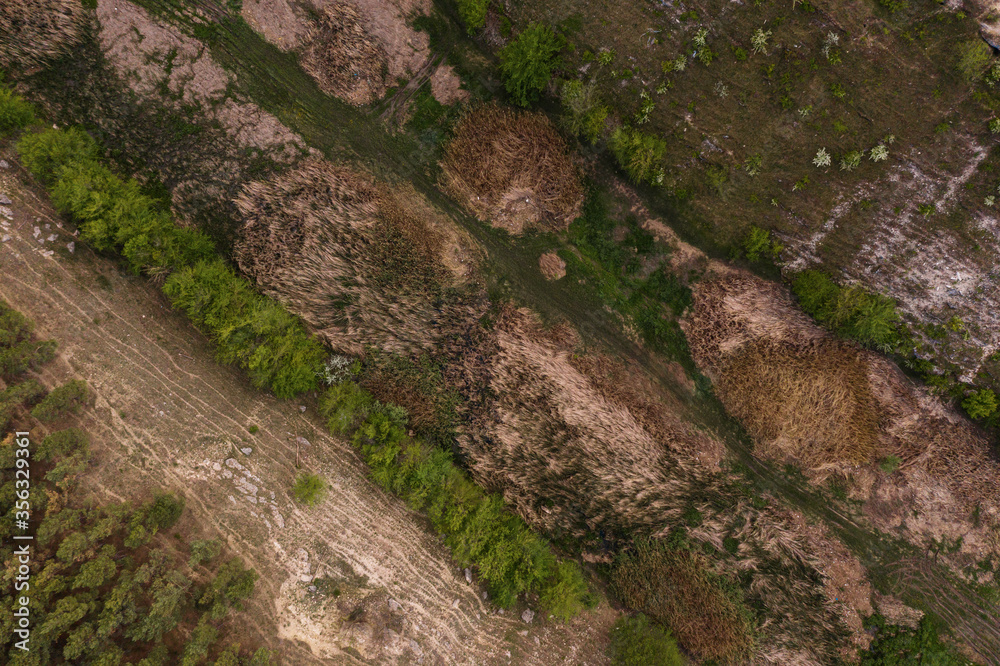 Obraz premium Aerial top view of rocks and tree, mountain ecosystem and healthy environment concept and background, Texture of green tree, stones and land