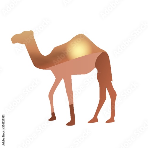 double exposure of camel and desert