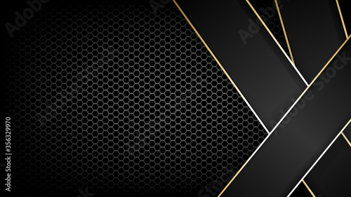 Premium abstract background with Carbon fibre texture and gold line, vector illustration