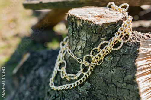 This season, multi-tiered chains of different types and sizes are fashionable. Faceted Golden links of the metal alloy dry hanging on the branches, bark and wood from the elements of nature. Details o