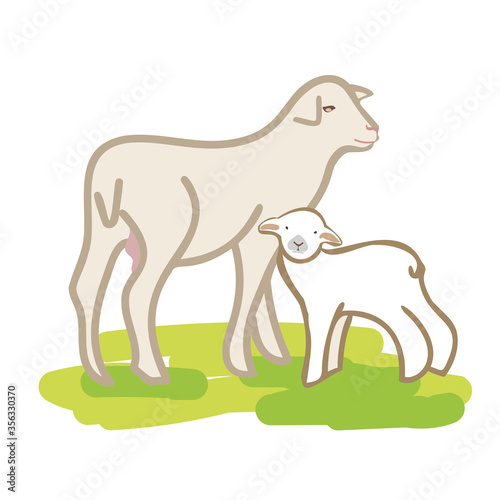Vector flat style sheep with lamb.