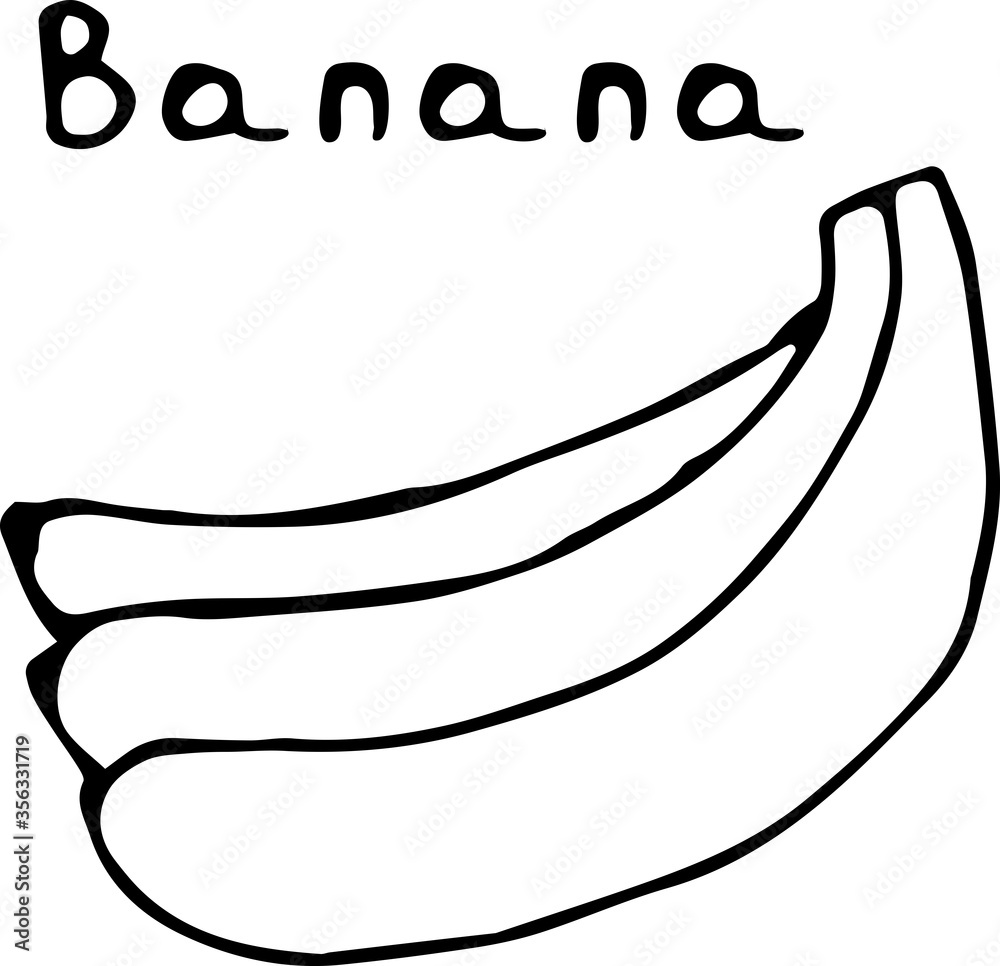 Vector illustration of a banana in the Doodle style, hand-drawn black outline on a white background with the text Vector illustration of a banana in the Doodle style, hand-drawn black outline on a white background with the text