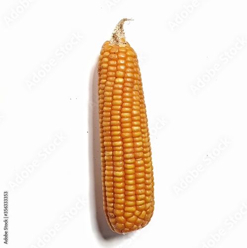 The peeled ear of corn, a piece of and seedsThe peeled ear of corn, a piece of and seeds of corn on white background. photo