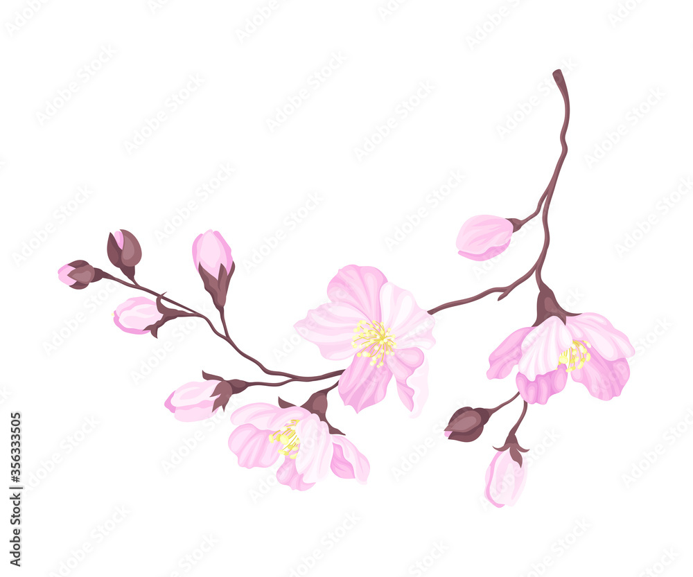 Blooming Cherry Branch with Tender Pink Flower Blossoms Vector Illustration Blooming Cherry Branch with Tender Pink Flower Blossoms Vector Illustration