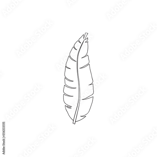 Hand drawn tropical leaf. Only the outline.