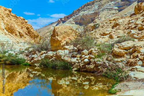 Creek Zin flows through the canyon Ein Avdat